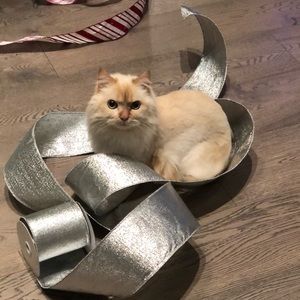 Meet your Posher, Rachael